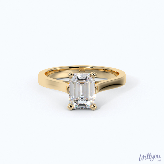 Emerald Cut Cathedral Engagement Ring in Yellow Gold