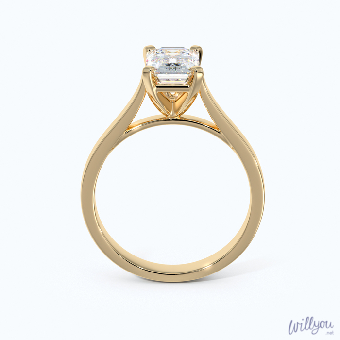 Emerald Cut Cathedral Engagement Ring in Yellow Gold